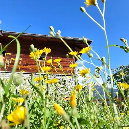 Maison Lo For - Casa Indipendente Torgnon